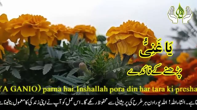 Ya Ghaniyu Rozana 100 Martba parny ke Fiyde || Ya Ghaniyu Benefits || Wazifa for Problems смотреть онлайн