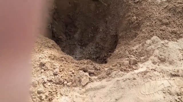 Закопали гимнастический мяч в песке, сделали прыгульку. смотреть онлайн