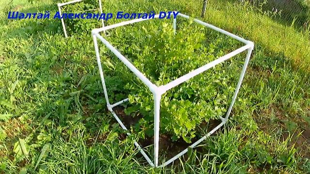 Ограничители для растений своими руками. смотреть онлайн