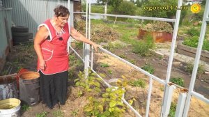 Оригинальная опора для актинидии