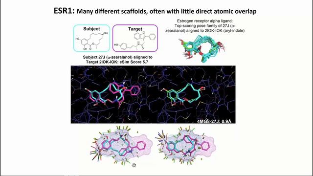 eSim3D: electrostatic field and surface-shape similarity for ligand-based drug design смотреть онлайн