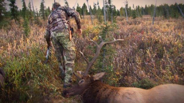 Best Of Mountain Hunts Vol.1 | Canada in the Rough (ULTIMATE Back Country Hunting Highlights) смотреть онлайн