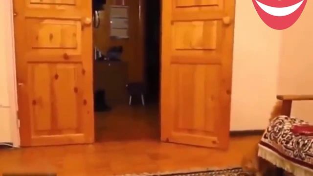 Смеюсь не могу ? смотреть онлайн