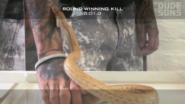 Get Bitten By A Snake Challenge! | Follow The Leader смотреть онлайн
