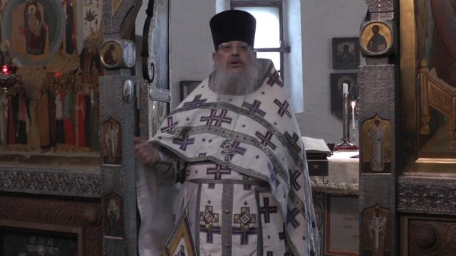 О слепом протоиерея Проповедь Сергия Правдолюбова. смотреть онлайн