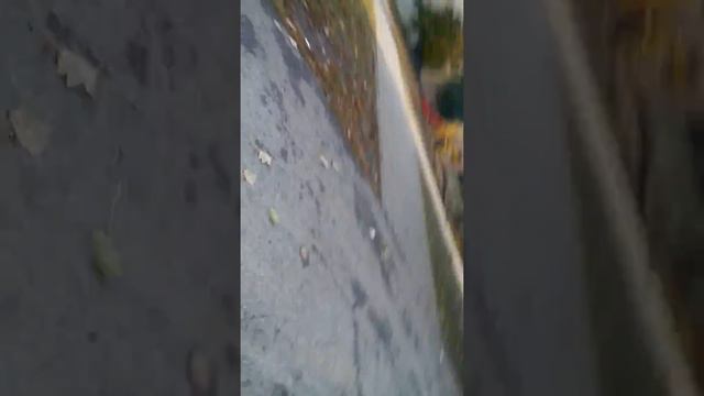 Пися смотреть онлайн