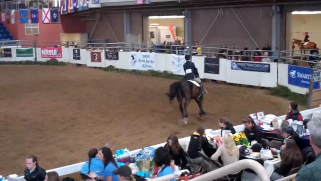 Joey Fink & Katana - Team Intermediate Fences - IHSA Nationals - May 3, 2013 смотреть онлайн