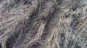 ПРПК обработка залежных земель 01 05 22г