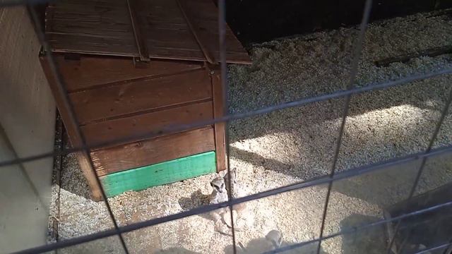 Саратовский Горпарк. смотреть онлайн