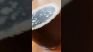 Чайный гриб с нуля