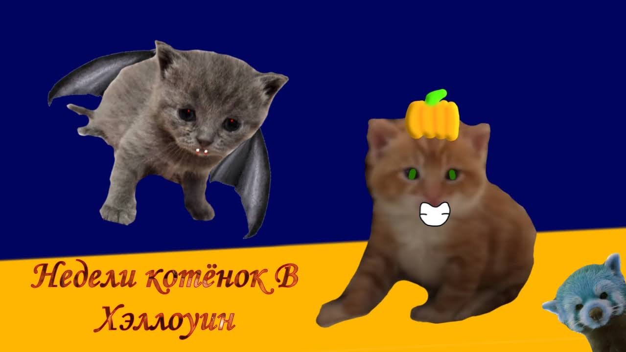 Недели котёнок В Хэллоуин смотреть онлайн