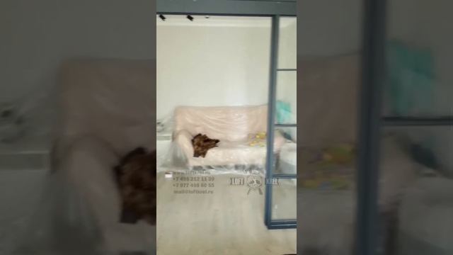 Перегородка в стиле лофт с двумя раздвижными дверьми и фрамужной частью. смотреть онлайн