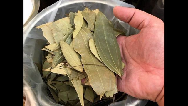 ЛАВР ЖАПЫРАҒЫНЫҢ ПАЙДАСЫ МЕН ЗИЯНЫ! смотреть онлайн