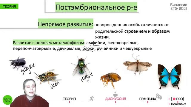 Биология ЕГЭ - Онтогенез смотреть онлайн