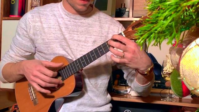 Carry That Weight (The Beatles) - ukulele solo - Flight Diana Tenor смотреть онлайн