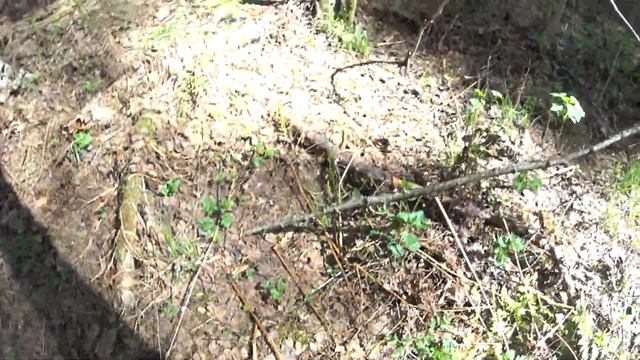 Чистый сигнал, высокий звук без хрипа, ровная линия годографа, цифра Vdi в секторе цветного металла