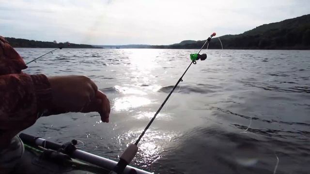 РЫБАЛКА С ЛОДКИ НА КОЛЬЦО, ЯЙЦА И БОРТОВУЮ УДОЧКУ смотреть онлайн