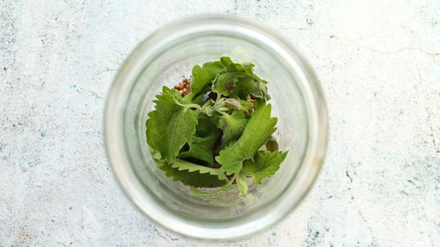 Вкусные будни