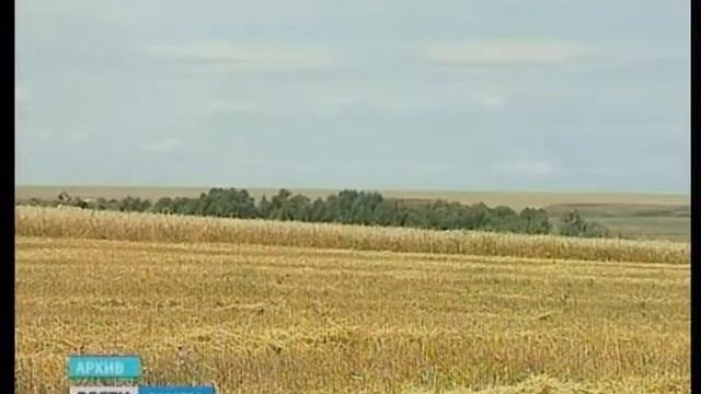 Вступил в силу технический регламент таможенного союза смотреть онлайн