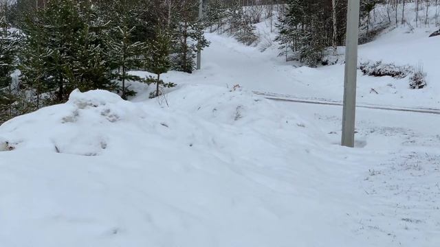 Поздняя весна 2019 в Катумах смотреть онлайн