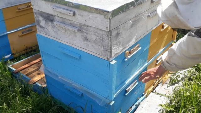 Кассетный лежак. Четыре семьи станут одной с четырьмя матками. Часть 1 смотреть онлайн
