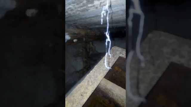 Салахеевская квартира часть4. В погребе очень