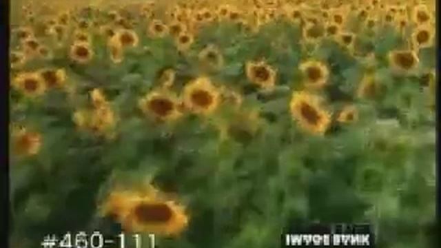 smooth jazz - ramsey lewis - quiet storm смотреть онлайн