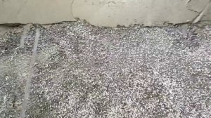 Полистиролбетонная стяжка пола. Готовая заводская смесь. Прочность, скорость заливки, стоимость.