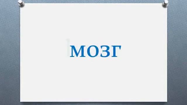 Английские слова на тему 'Человек  Анатомия'  Часть 2