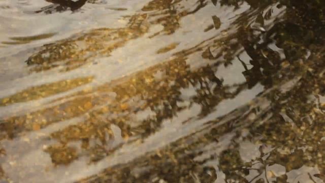 academ смотреть онлайн