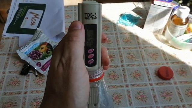 Помидоры на подоконнике. День 7. Как поливать помидоры на подоконнике. смотреть онлайн