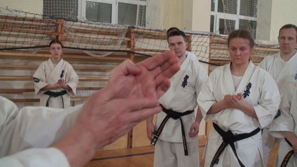 KYOKUSHIN KARATE HAND POSITIONS AND THEIR COMBAT APPLICATIONS