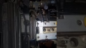 компрессия омега б x20xev