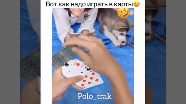 ВОТ КАК НАДО ИГРАТЬ В КАРТЫ смотреть онлайн