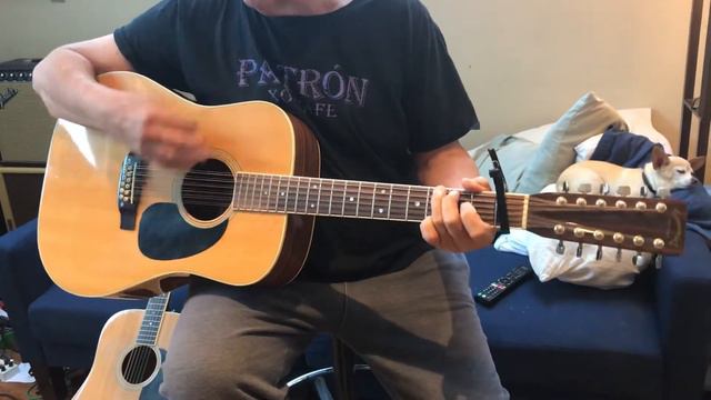 TWO OF US - BEATLES. Play along guitar lesson. 1979 Takamine F-400S 12 string guitar смотреть онлайн