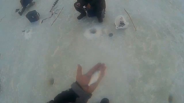 [ Хроники Рыбака -любителя ] Ловля синца на Толпеге смотреть онлайн