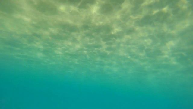 Почему не нужно отдыхать в Турции (часть 1) смотреть онлайн