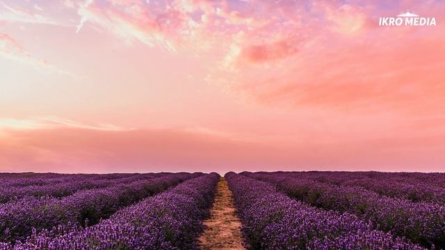 ЛАА ХАВЛА ВАЛАА КУВВАТТА ИЛЛА БИЛЛАХ смотреть онлайн