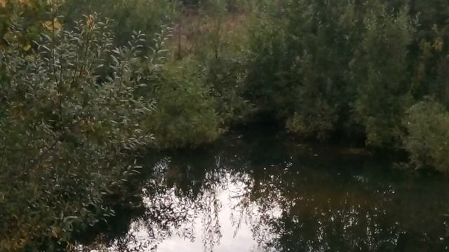 Поездка в Смоленскую область и РТ не эндуро!!! смотреть онлайн