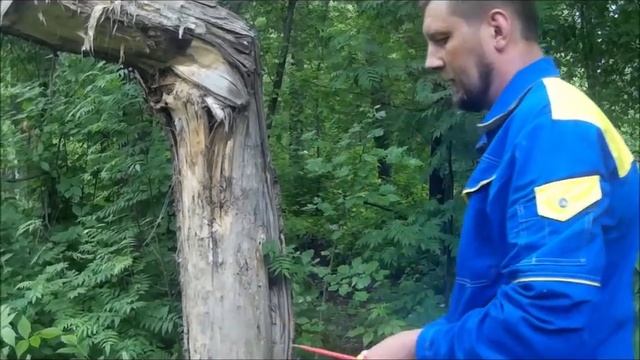 Человек с силовой отверткой смотреть онлайн