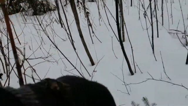 В РОССИИ БЕДНЫХ НЕТ смотреть онлайн