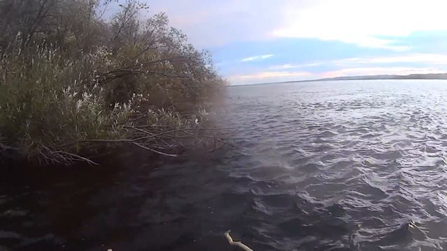 Долгожданная осень на реке Зея. Октябрь. смотреть онлайн