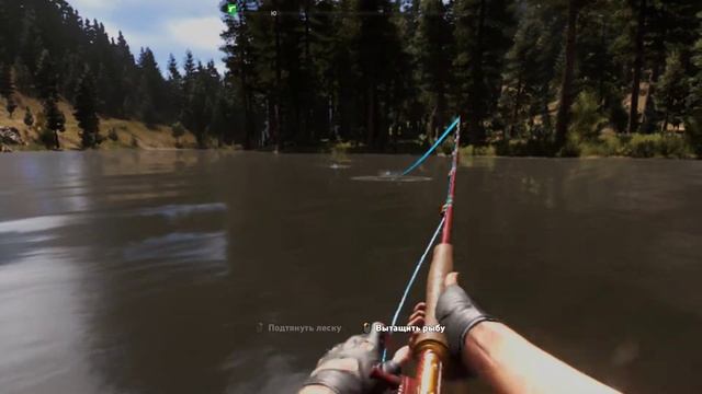 Far Cry 5 как правильно ловить рыбу на примере белого лопатоноса смотреть онлайн