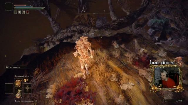 Локация Фии | Прохождение за молитвы безумия | Elden Ring | #33 смотреть онлайн