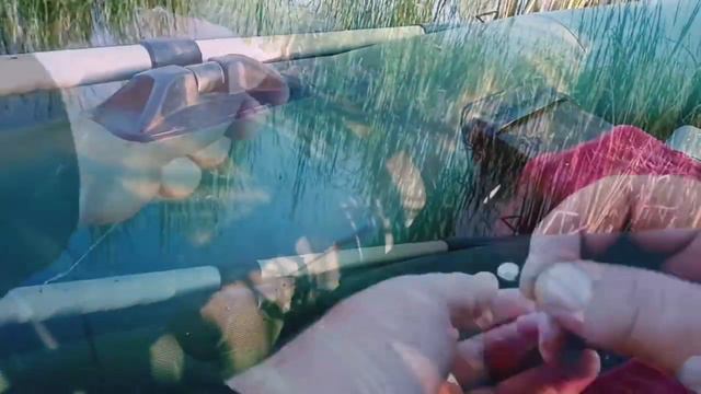 Щуки нет, но есть карась.#5 смотреть онлайн