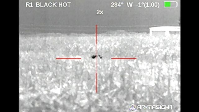 Wild Boar Hunting in Texas | 40 Hogs Down with the Armasight Zeus Thermal Scope смотреть онлайн