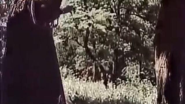 ГРУЗИЯ-ФИЛЬМ