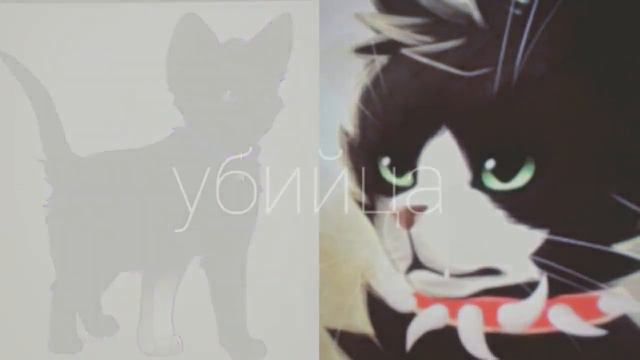 Коты воители (клипы)часть 3 смотреть онлайн