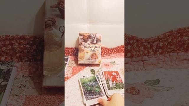 Herb Crafter's TAROT Review & Flip through ? #eye #review #see #herbs #tarot #cards #pickacard #art смотреть онлайн