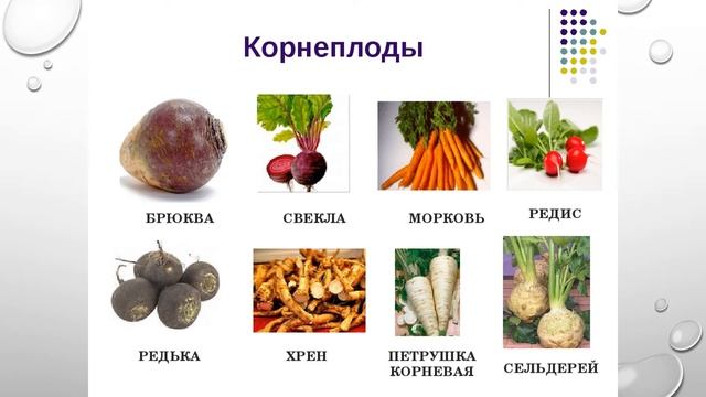 Видоизменение корней смотреть онлайн